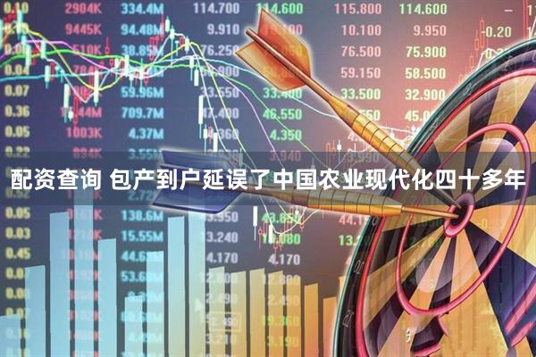 配资查询 包产到户延误了中国农业现代化四十多年