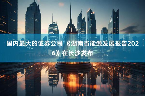 国内最大的证券公司 《湖南省能源发展报告2026》在长沙发布