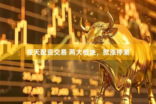 按天配资交易 两大板块,掀涨停潮
